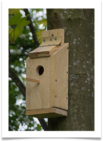 rn. Birdbox from scraps r - Richard Nicholls